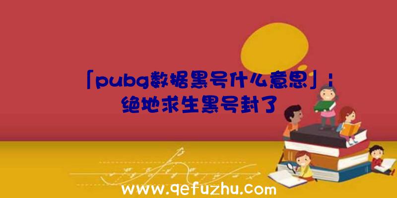 「pubg数据黑号什么意思」|绝地求生黑号封了